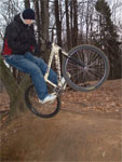 barspin