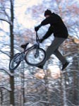 tailwhip